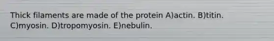 Thick filaments are made of the protein A)actin. B)titin. C)myosin. D)tropomyosin. E)nebulin.