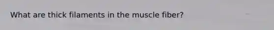 What are thick filaments in the muscle fiber?