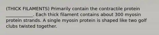 (THICK FILAMENTS) Primarily contain the contractile protein ____________. Each thick filament contains about 300 myosin protein strands. A single myosin protein is shaped like two golf clubs twisted together.