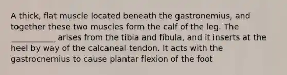 A thick, flat muscle located beneath the gastronemius, and together these two muscles form the calf of the leg. The ___________ arises from the tibia and fibula, and it inserts at the heel by way of the calcaneal tendon. It acts with the gastrocnemius to cause plantar flexion of the foot