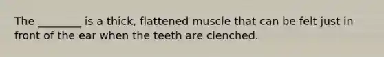 The ________ is a thick, flattened muscle that can be felt just in front of the ear when the teeth are clenched.