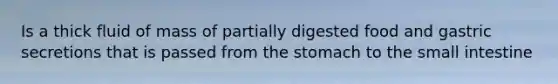 Is a thick fluid of mass of partially digested food and gastric secretions that is passed from the stomach to the small intestine