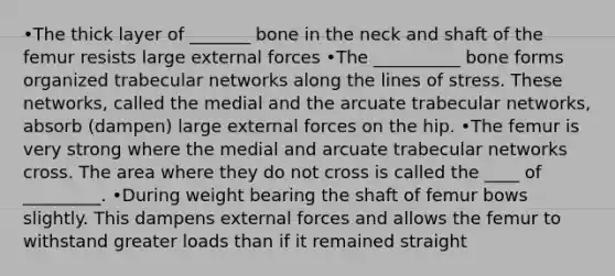 •The thick layer of _______ bone in the neck and shaft of the femur resists large external forces •The __________ bone forms organized trabecular networks along the lines of stress. These networks, called the medial and the arcuate trabecular networks, absorb (dampen) large external forces on the hip. •The femur is very strong where the medial and arcuate trabecular networks cross. The area where they do not cross is called the ____ of _________. •During weight bearing the shaft of femur bows slightly. This dampens external forces and allows the femur to withstand greater loads than if it remained straight