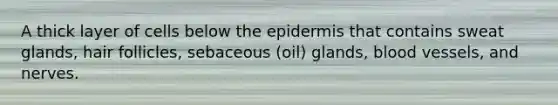 A thick layer of cells below the epidermis that contains sweat glands, hair follicles, sebaceous (oil) glands, blood vessels, and nerves.