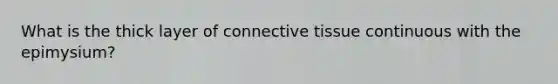 What is the thick layer of connective tissue continuous with the epimysium?