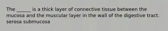 The ______ is a thick layer of <a href='https://www.questionai.com/knowledge/kYDr0DHyc8-connective-tissue' class='anchor-knowledge'>connective tissue</a> between the mucosa and the muscular layer in the wall of the digestive tract. serosa submucosa