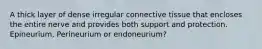 A thick layer of dense irregular connective tissue that encloses the entire nerve and provides both support and protection. Epineurium, Perineurium or endoneurium?