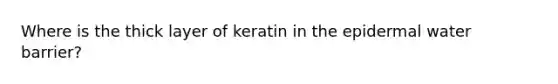 Where is the thick layer of keratin in the epidermal water barrier?