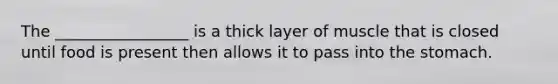 The _________________ is a thick layer of muscle that is closed until food is present then allows it to pass into the stomach.