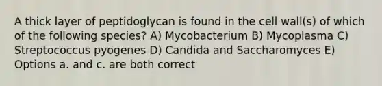 A thick layer of peptidoglycan is found in the cell wall(s) of which of the following species? A) Mycobacterium B) Mycoplasma C) Streptococcus pyogenes D) Candida and Saccharomyces E) Options a. and c. are both correct