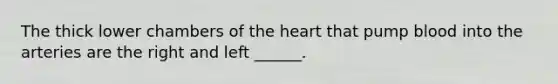 The thick lower chambers of <a href='https://www.questionai.com/knowledge/kya8ocqc6o-the-heart' class='anchor-knowledge'>the heart</a> that pump blood into the arteries are the right and left ______.