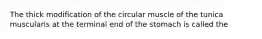 The thick modification of the circular muscle of the tunica muscularis at the terminal end of the stomach is called the