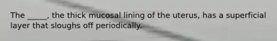 The _____, the thick mucosal lining of the uterus, has a superficial layer that sloughs off periodically.