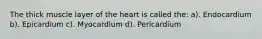 The thick muscle layer of the heart is called the: a). Endocardium b). Epicardium c). Myocardium d). Pericardium