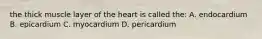 the thick muscle layer of the heart is called the: A. endocardium B. epicardium C. myocardium D. pericardium