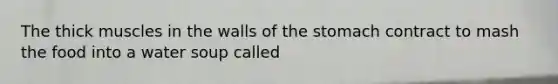 The thick muscles in the walls of <a href='https://www.questionai.com/knowledge/kLccSGjkt8-the-stomach' class='anchor-knowledge'>the stomach</a> contract to mash the food into a water soup called