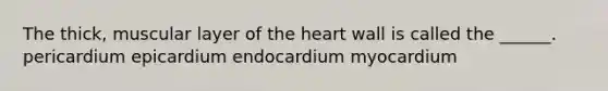 The thick, muscular layer of <a href='https://www.questionai.com/knowledge/kya8ocqc6o-the-heart' class='anchor-knowledge'>the heart</a> wall is called the ______. pericardium epicardium endocardium myocardium