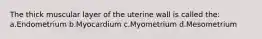 The thick muscular layer of the uterine wall is called the: a.Endometrium b.Myocardium c.Myometrium d.Mesometrium