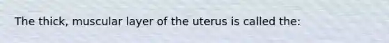 The thick, muscular layer of the uterus is called the: