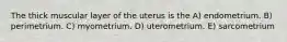 The thick muscular layer of the uterus is the A) endometrium. B) perimetrium. C) myometrium. D) uterometrium. E) sarcometrium