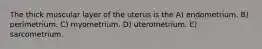 The thick muscular layer of the uterus is the A) endometrium. B) perimetrium. C) myometrium. D) uterometrium. E) sarcometrium.