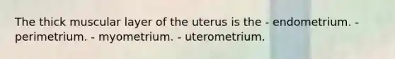 The thick muscular layer of the uterus is the - endometrium. - perimetrium. - myometrium. - uterometrium.