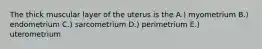 The thick muscular layer of the uterus is the A.) myometrium B.) endometrium C.) sarcometrium D.) perimetrium E.) uterometrium