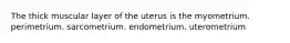 The thick muscular layer of the uterus is the myometrium. perimetrium. sarcometrium. endometrium. uterometrium