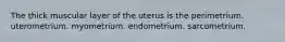 The thick muscular layer of the uterus is the perimetrium. uterometrium. myometrium. endometrium. sarcometrium.