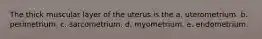 The thick muscular layer of the uterus is the a. uterometrium. b. perimetrium. c. sarcometrium. d. myometrium. e. endometrium.