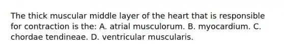 The thick muscular middle layer of the heart that is responsible for contraction is the: A. atrial musculorum. B. myocardium. C. chordae tendineae. D. ventricular muscularis.