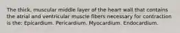 The thick, muscular middle layer of the heart wall that contains the atrial and ventricular muscle fibers necessary for contraction is the: Epicardium. Pericardium. Myocardium. Endocardium.