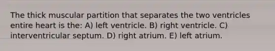 The thick muscular partition that separates the two ventricles entire heart is the: A) left ventricle. B) right ventricle. C) interventricular septum. D) right atrium. E) left atrium.