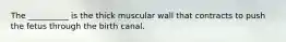 The __________ is the thick muscular wall that contracts to push the fetus through the birth canal.