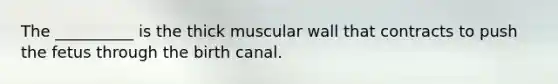 The __________ is the thick muscular wall that contracts to push the fetus through the birth canal.