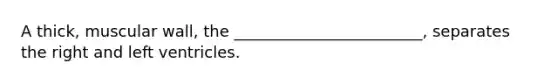 A thick, muscular wall, the ________________________, separates the right and left ventricles.