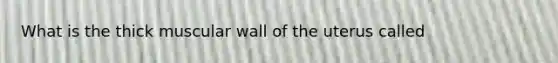 What is the thick muscular wall of the uterus called