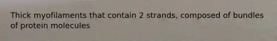 Thick myofilaments that contain 2 strands, composed of bundles of protein molecules
