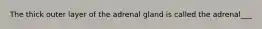 The thick outer layer of the adrenal gland is called the adrenal___