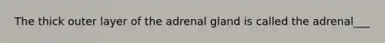 The thick outer layer of the adrenal gland is called the adrenal___