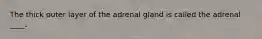 The thick outer layer of the adrenal gland is called the adrenal ____.