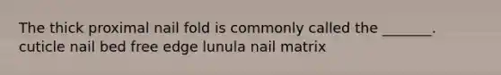 The thick proximal nail fold is commonly called the _______. cuticle nail bed free edge lunula nail matrix