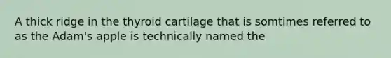 A thick ridge in the thyroid cartilage that is somtimes referred to as the Adam's apple is technically named the