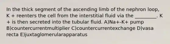 In the thick segment of the ascending limb of the nephron loop, K + reenters the cell from the interstitial fluid via the _________. K + is then secreted into the tubular fluid. A)Na+-K+ pump B)countercurrentmultiplier C)countercurrentexchange D)vasa recta E)juxtaglomerularapparatus