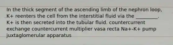 In the thick segment of the ascending limb of the nephron loop, K+ reenters the cell from the interstitial fluid via the _________. K+ is then secreted into the tubular fluid. countercurrent exchange countercurrent multiplier vasa recta Na+-K+ pump juxtaglomerular apparatus