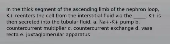 In the thick segment of the ascending limb of the nephron loop, K+ reenters the cell from the interstitial fluid via the _____. K+ is then secreted into the tubular fluid. a. Na+-K+ pump b. countercurrent multiplier c. countercurrent exchange d. vasa recta e. juxtaglomerular apparatus