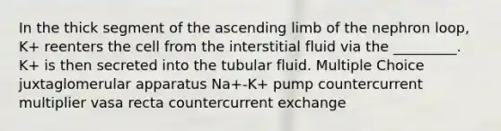 In the thick segment of the ascending limb of the nephron loop, K+ reenters the cell from the interstitial fluid via the _________. K+ is then secreted into the tubular fluid. Multiple Choice juxtaglomerular apparatus Na+-K+ pump countercurrent multiplier vasa recta countercurrent exchange