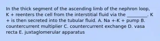 In the thick segment of the ascending limb of the nephron loop, K + reenters the cell from the interstitial fluid via the _________. K + is then secreted into the tubular fluid. A. Na +-K + pump B. countercurrent multiplier C. countercurrent exchange D. vasa recta E. juxtaglomerular apparatus