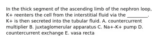 In the thick segment of the ascending limb of the nephron loop, K+ reenters the cell from the interstitial fluid via the _________. K+ is then secreted into the tubular fluid. A. countercurrent multiplier B. juxtaglomerular apparatus C. Na+-K+ pump D. countercurrent exchange E. vasa recta