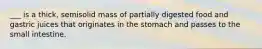 ___ is a thick, semisolid mass of partially digested food and gastric juices that originates in the stomach and passes to the small intestine.